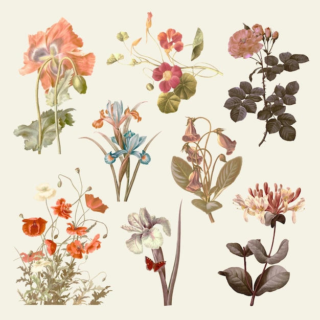 Vecteur gratuit ensemble d'illustrations de fleurs vintage, remixé à partir d'œuvres d'art du domaine public