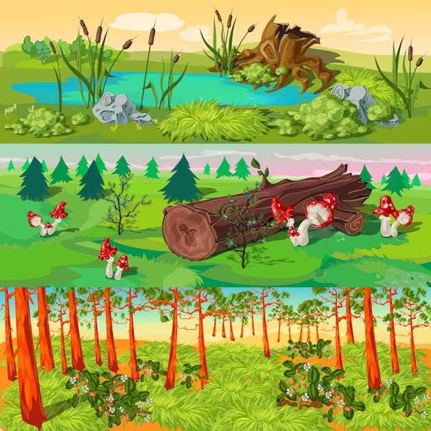 Ensemble D'illustrations De Forêt