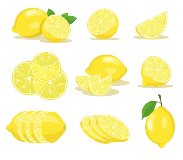 Ensemble d'illustrations de tranches de citron