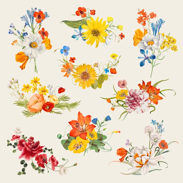 Vecteur gratuit ensemble d'illustrations vectorielles de nom de fleur de printemps vintage, remixé à partir d'œuvres d'art du domaine public
