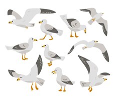 Ensemble d'illustrations vectorielles plates de personnage de dessin animé seagull. mignons goélands comiques, oiseaux de l'atlantique à plumes blanches et pattes jaunes pour paysage de mer, de plage ou de port. nature, animaux, concept de la faune