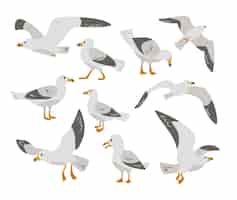Vecteur gratuit ensemble d'illustrations vectorielles plates de personnage de dessin animé seagull. mignons goélands comiques, oiseaux de l'atlantique à plumes blanches et pattes jaunes pour paysage de mer, de plage ou de port. nature, animaux, concept de la faune
