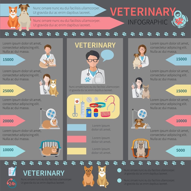 Vecteur gratuit ensemble d'infographie vétérinaire