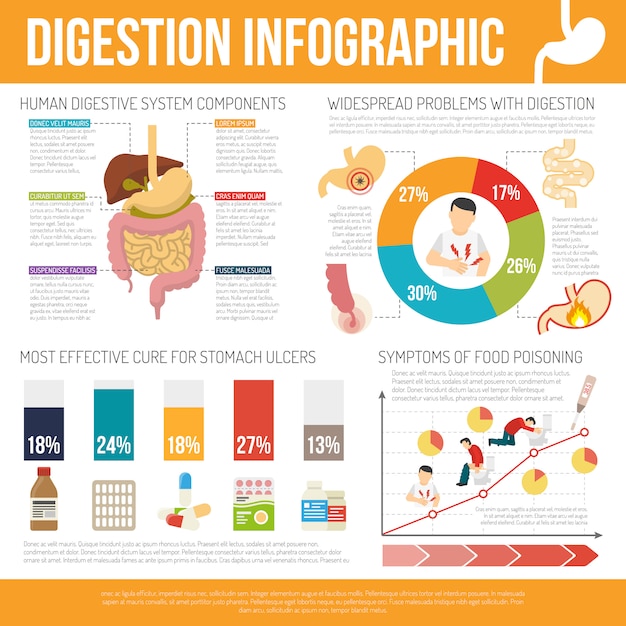 Vecteur gratuit ensemble infographique de digestion