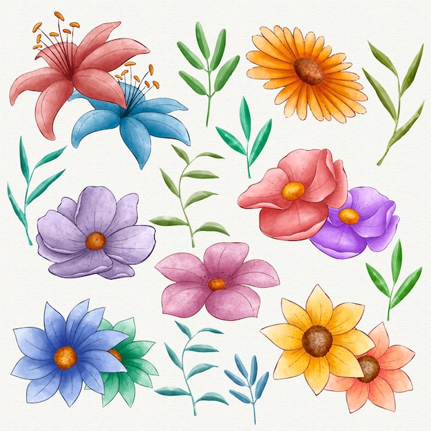 Ensemble de jolies fleurs peintes à la main