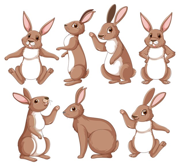 Ensemble de lapins bruns dans différentes poses