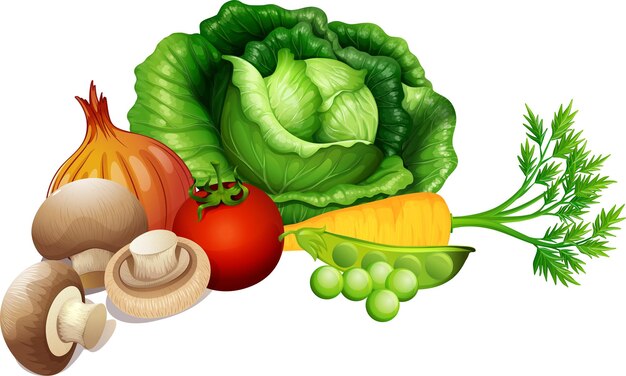 Ensemble de légumes sur fond blanc
