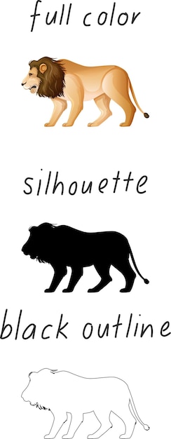 Vecteur gratuit ensemble de lion en couleur, silhouette et contour noir sur fond blanc