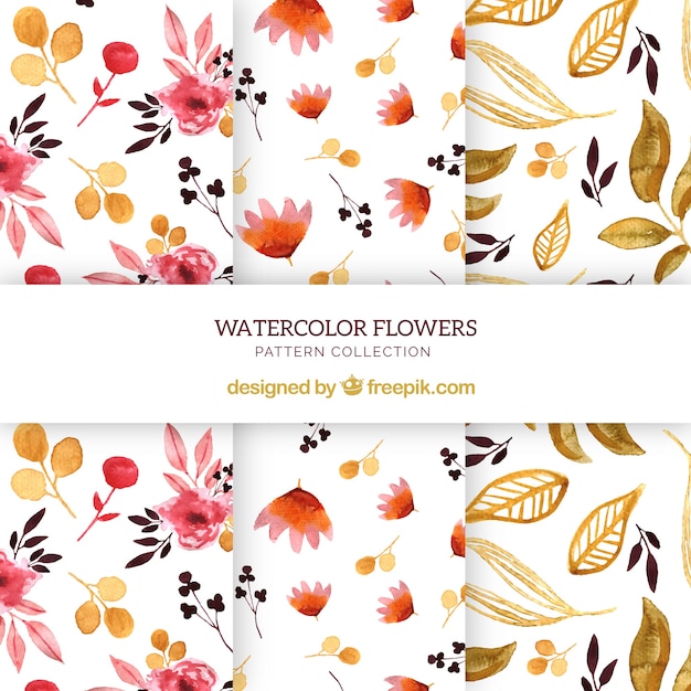 Vecteur gratuit ensemble de modèles de fleurs dans un style aquarelle