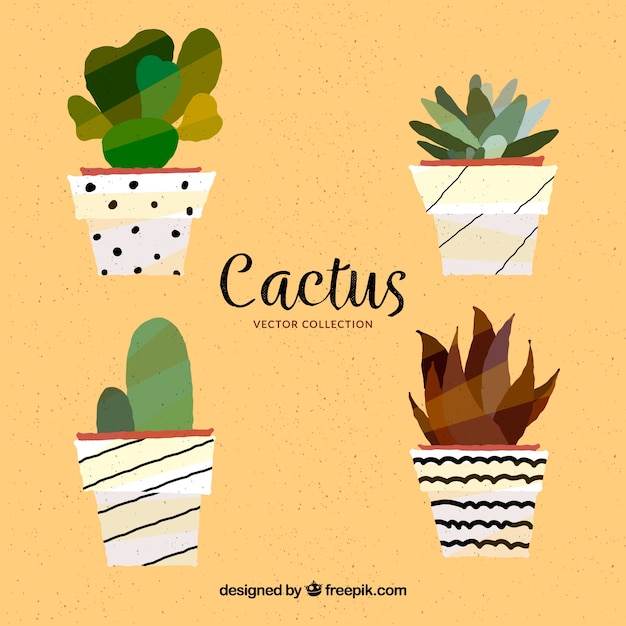 Vecteur gratuit ensemble moderne de cactus plat