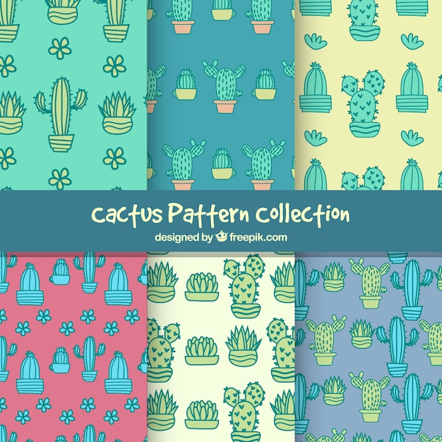 Ensemble De Motifs De Cactus