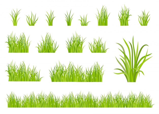 Ensemble de motifs d'herbe verte