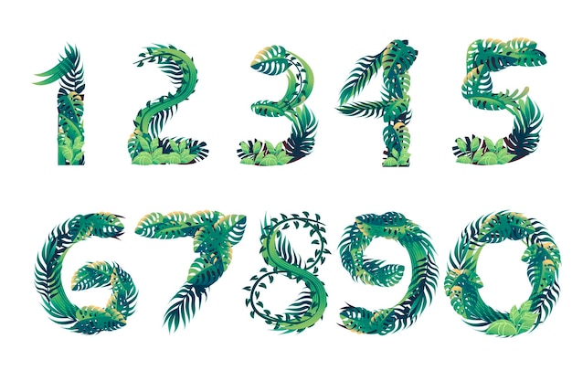 Ensemble de numéros de feuilles avec différents types de feuilles vertes et feuillage dessin animé style design plat vector illustration isolé sur fond blanc.