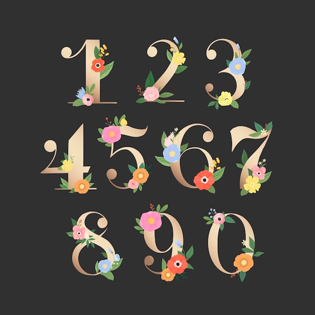 Vecteur gratuit ensemble de numéros floraux illustration
