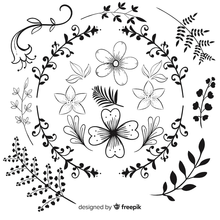 Vecteur gratuit ensemble d'ornement floral dessiné à la main
