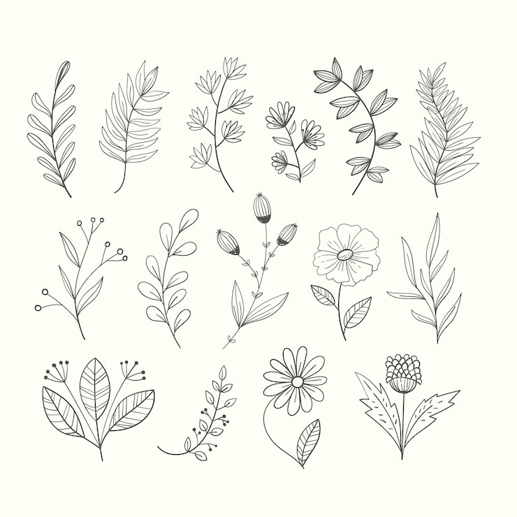Vecteur gratuit ensemble d'ornement floral dessiné à la main