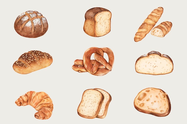Ensemble de pain frais dessiné à la main