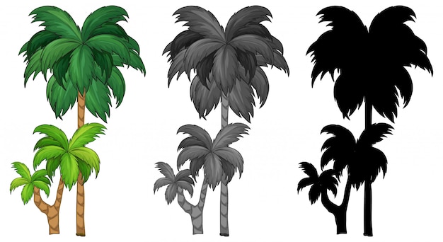 Vecteur gratuit ensemble de palmier
