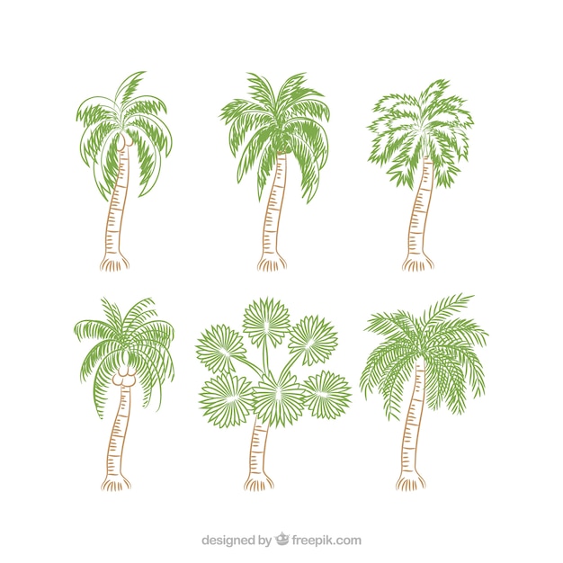 Vecteur gratuit ensemble de palmiers à la main