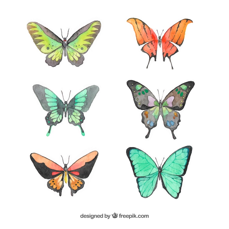 Vecteur gratuit ensemble de papillons d&#39;aquarelle