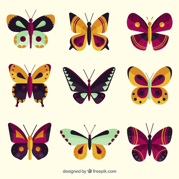 Vecteur gratuit ensemble de papillons avec des couleurs différentes