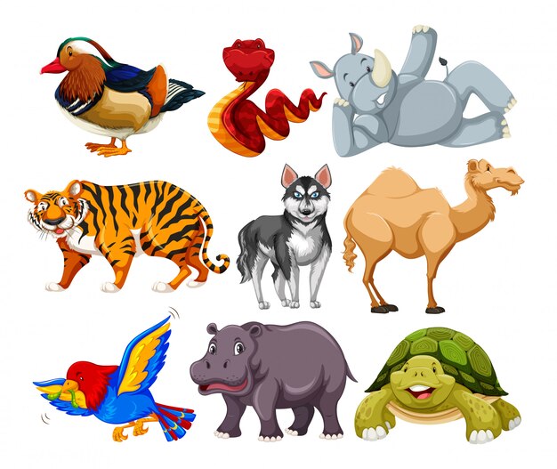 Ensemble de personnage animalier