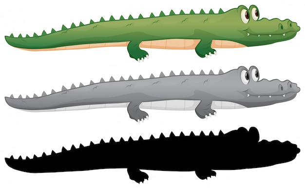 Vecteur gratuit ensemble de personnage de crocodile