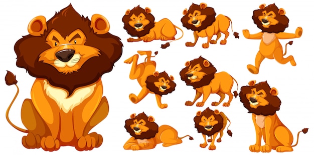 Ensemble de personnage de dessin animé de lion
