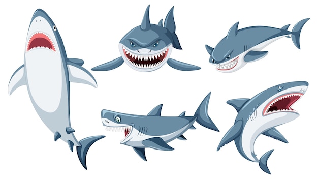 Ensemble de personnage de dessin animé de requin