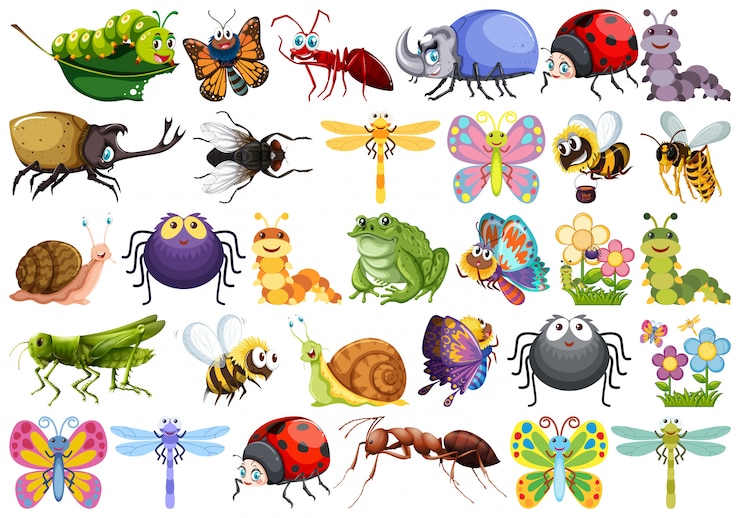 Vecteur gratuit ensemble de personnage d&#39;insecte