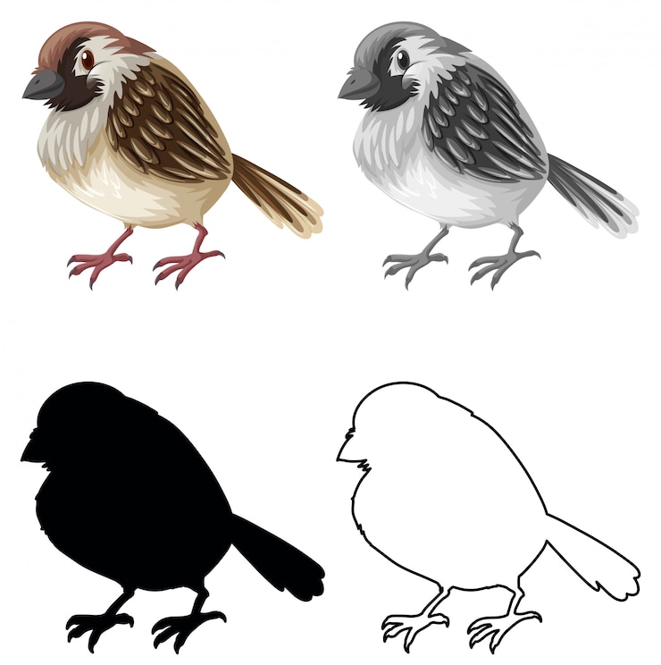 Vecteur gratuit ensemble de personnage de moineau