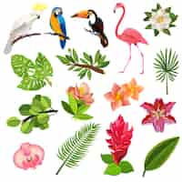 Vecteur gratuit ensemble de pictogrammes oiseaux et plantes tropicales