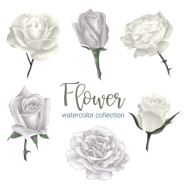 Vecteur gratuit ensemble de pièces séparées et réunies en un beau bouquet de fleurs dans un style aquarelle sur fond blanc illustration vectorielle plane