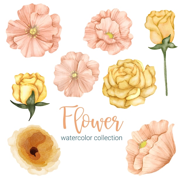 Ensemble de pièces séparées et réunies en un beau bouquet de fleurs dans un style aquarelle sur fond blanc illustration vectorielle plane