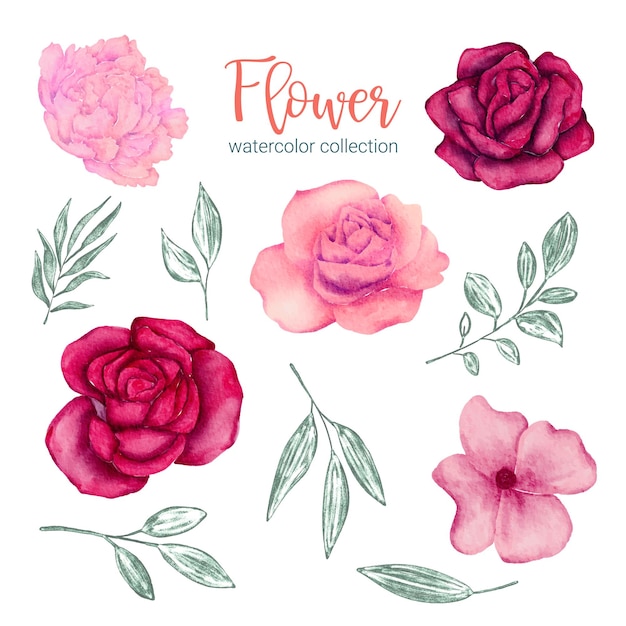 Vecteur gratuit ensemble de pièces séparées et réunies en un beau bouquet de fleurs dans un style aquarelle sur fond blanc illustration vectorielle plane