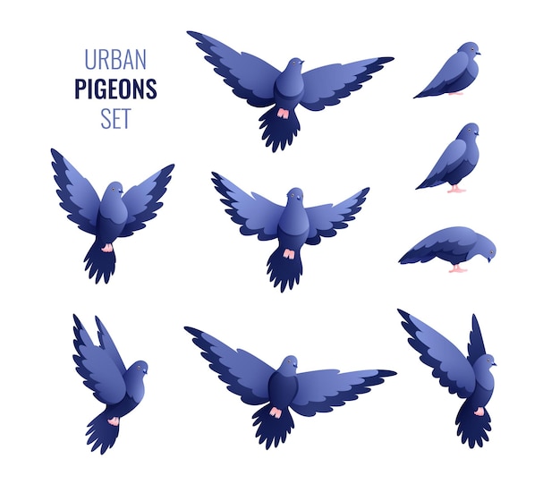 Vecteur gratuit ensemble de pigeons urbains