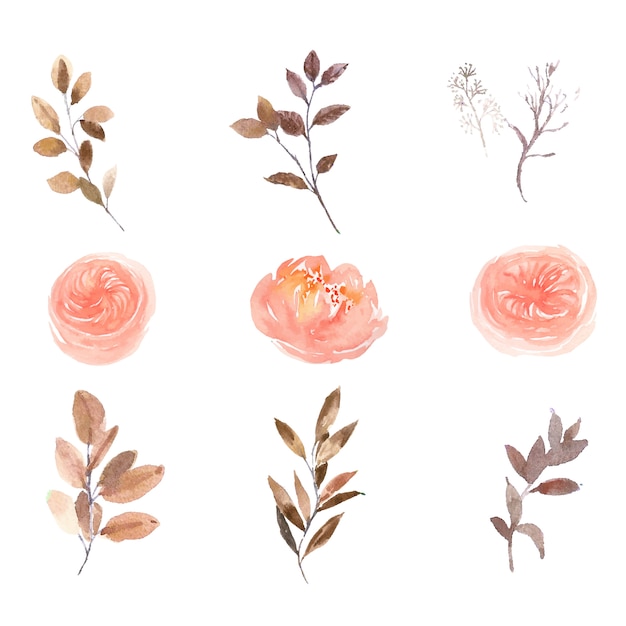 Ensemble De Pivoine Rose Aquarelle Et Feuillage, Peindre Illustration De Blanc éléments Isolés.