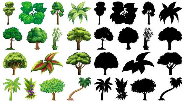 Ensemble de plante et arbre avec sa silhouette