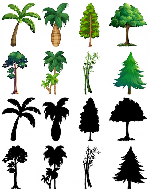 Vecteur gratuit ensemble de plante et arbre avec sa silhouette