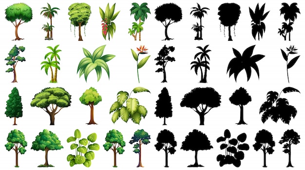 Ensemble de plante et arbre avec sa silhouette