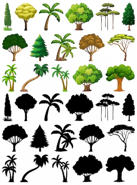 Vecteur gratuit ensemble de plante et arbre avec sa silhouette