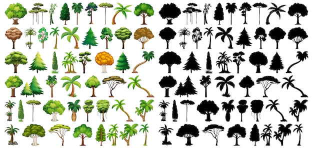 Ensemble de plante et arbre avec sa silhouette