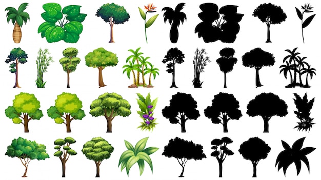 Ensemble De Plante Et Arbre Avec Sa Silhouette