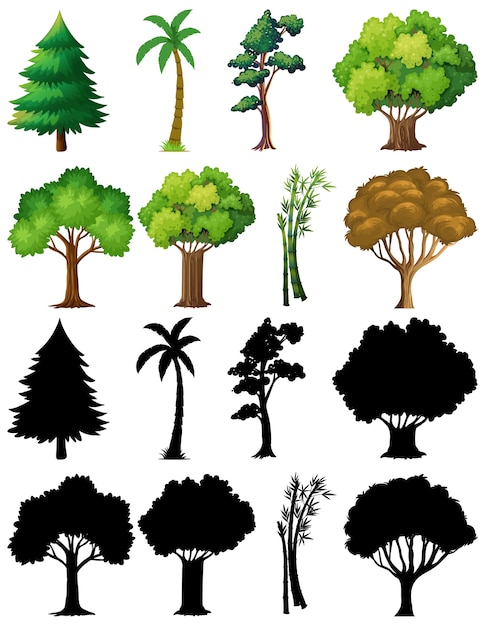 Vecteur gratuit ensemble de plante et arbre avec sa silhouette