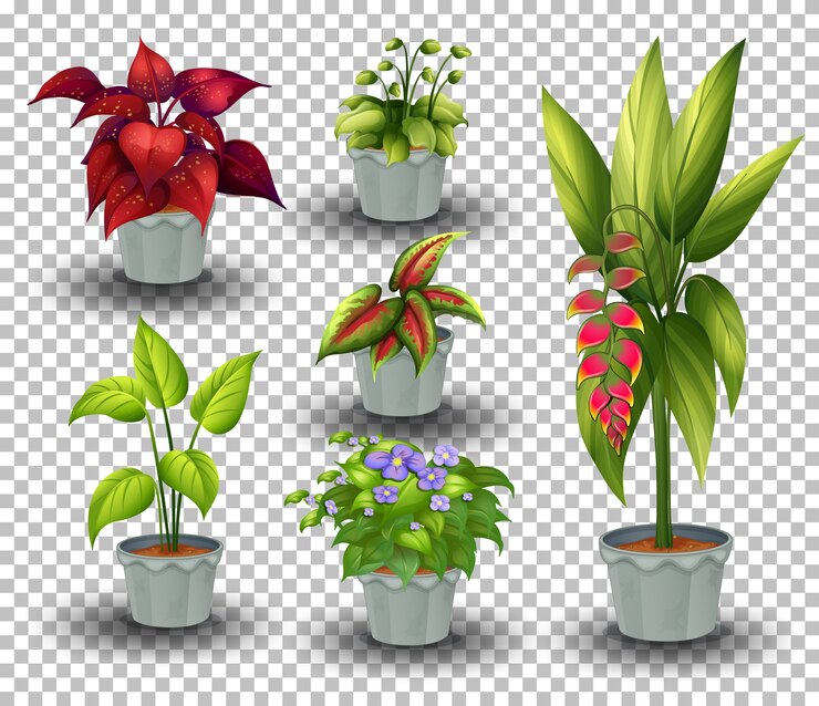 Vecteur gratuit ensemble de plante en pot