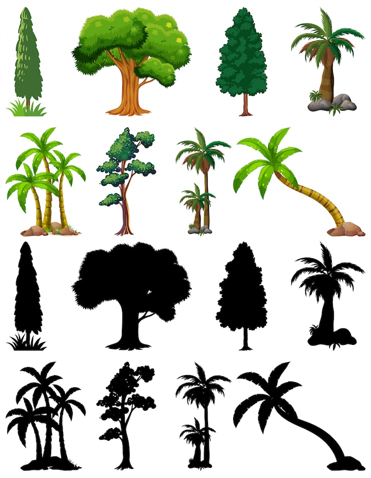 Vecteur gratuit ensemble de plantes et d'arbres avec sa silhouette