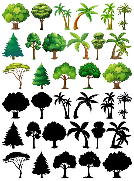 Ensemble de plantes et d'arbres avec sa silhouette
