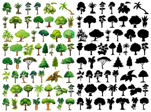 Ensemble de plantes et d'arbres avec sa silhouette