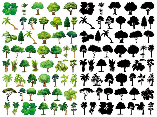 Ensemble de plantes et d'arbres avec sa silhouette