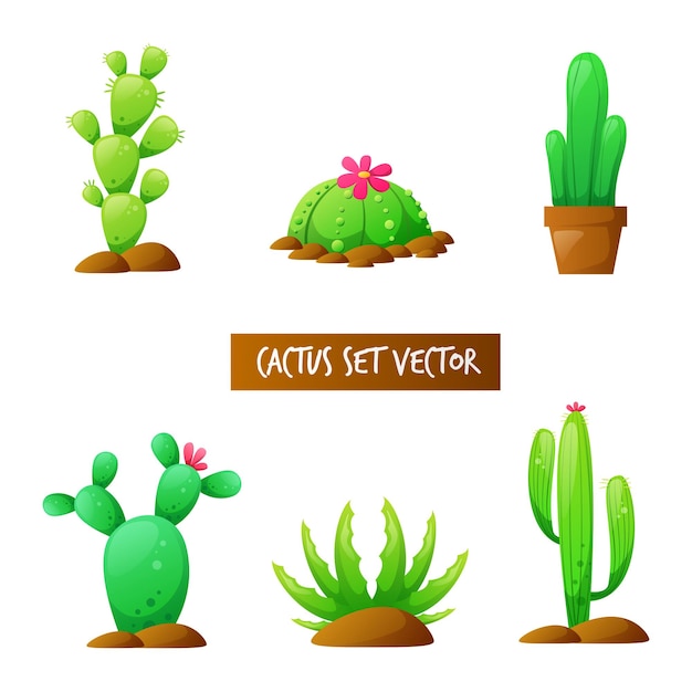 Un Ensemble De Plantes De Cactus Dans Un Style Plat